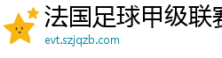 法国足球甲级联赛